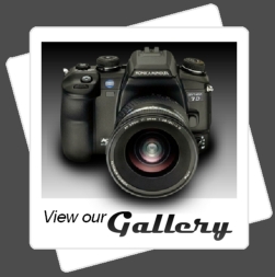 View our Gallery..